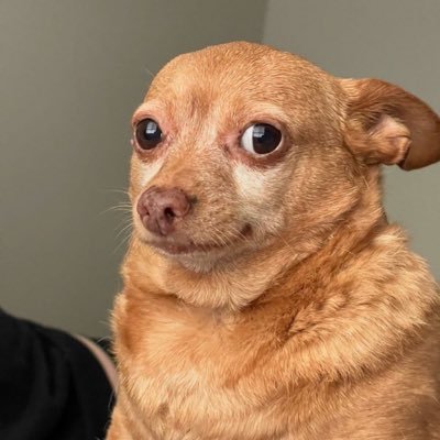 billthegamr's profile picture. nobody has good sense anymore