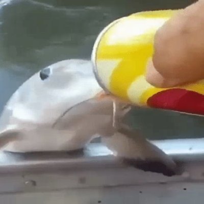 jollyhomunculus's profile picture. 19 / Enjoyer of most things / Women and Men consumer / Wanna draw more but lazy :D