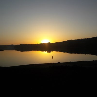 LauraCesarioG1's profile picture. 