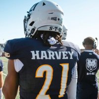 Joshua Harvey (@harvey_island) 's Twitter Profile Photo Joshua Harvey (@harvey_island) 's Twitter Profile Photo