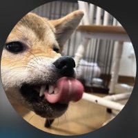 さささ (@sayaso0106) Twitter profile photo