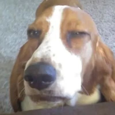 Temery449878's profile picture. I mainly repost stuff, but I sometimes draw