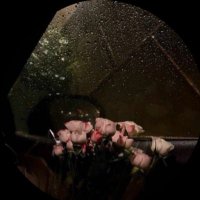 Jood78 (@jood6794) 's Twitter Profile Photo