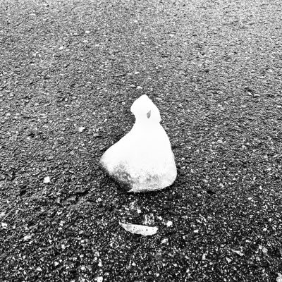 j2yw9JXbA358990's profile picture. いいえ、じつのところ