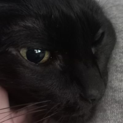 KingFellipe's profile picture. 🍃