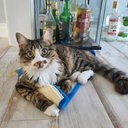 Maude LeBlanc - @maude_lebl99509 - Twitter