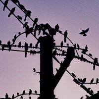 Jason Yetz (@yeti903) 's Twitter Profile