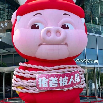 xingcheng820's profile picture. 