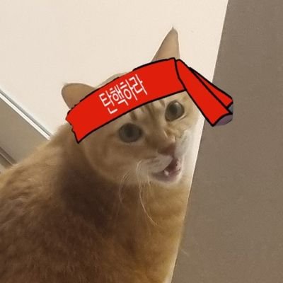 daisyduck3618's profile picture. 구름(치즈냥.스트릿출신. 2015년생.눈치백단)
바람(젖소냥.보호소출신. 2017년생.허당)