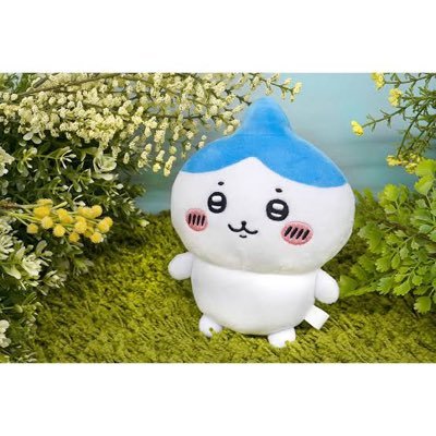ばにゃにゃんさんのプロフィール画像