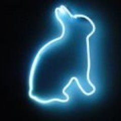 EarlOfWhales's profile picture. Tech startup founder reshaping manufacturing 🛠️ | Outdoorsman 🏕️