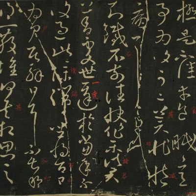 ElonMuskFeng's profile picture. 