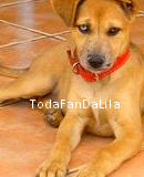 TodaFanDaLila's profile picture. Fc dedicado totalmente a @_liihr *-* 
amo dms dms s2 haha . Since:01/03/11  Seguido , oficializado e reconhecido.