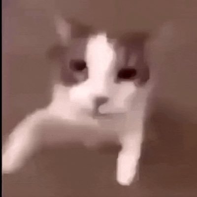 ニマさんのプロフィール画像