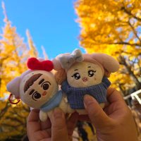 Anne | ๐๐ ใใงใซใ (@shinyuuchansoo) 's Twitter Profile Photo Anne | ๐๐ ใใงใซใ (@shinyuuchansoo) 's Twitter Profile Photo