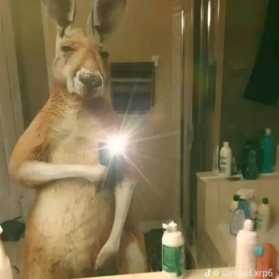 Aldhair_cueto's profile picture. 