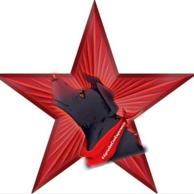 labrin79's profile picture. solo nuestras acciones darán a conocer nuestras ideas ...solo el espejo del alma dirá como miras la vida y sea esta la que nos juzgue al final del camino .