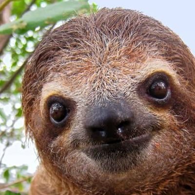 Pretzel_Faust's profile picture. Never lacked a sense of Theatre