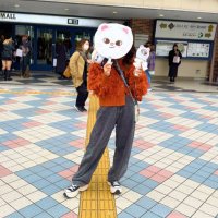 natsu🥟 (@27co_h) 's Twitter Profile
