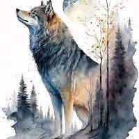 gezgin kaptan (@gezginkapt94255) 's Twitter Profile