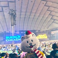 ゆここ★★★★SR10/27福岡、12/8東京 (@yukoko_u_u_boc) 's Twitter Profile