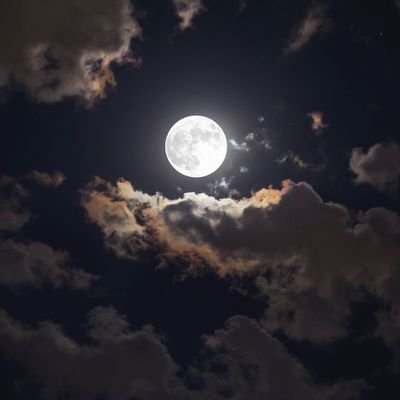 jit_vs's profile picture. 