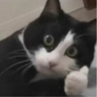 H-Reason (@hu_reason) 's Twitter Profile