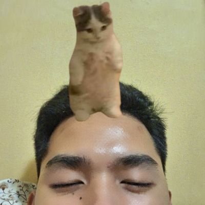 Guillermo28K's profile picture. 🐯💛
My otherworldly Space