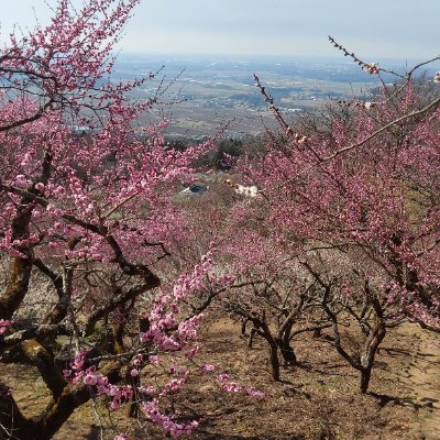 sainaing's profile picture. 12/05/1986