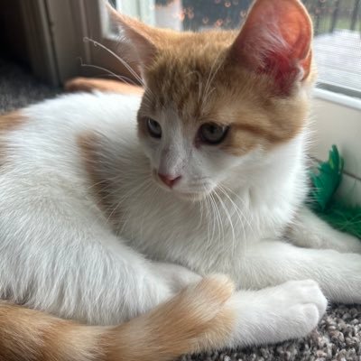 ders1044's profile picture. everything is just a mess, but I am doing fine~thoughts and views expressed are my own and in no way reflect my employer~