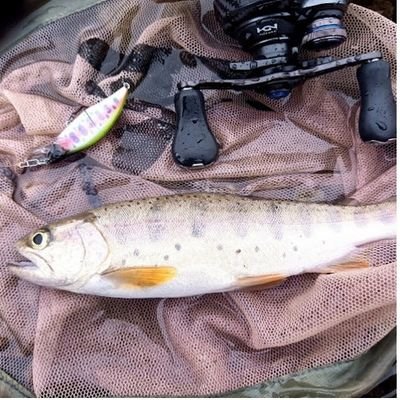 tokyoweb04's profile picture. 人生はハードボイルド。義理人情とやせ我慢。源流遡行、野営、渓流、海、ルアー釣り。ジムニーJB23W