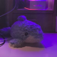 maitake1133 (@maitake1133) 's Twitter Profile