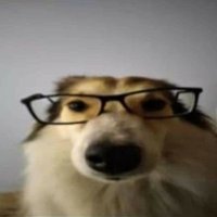 SisaCL (@srsisabv) 's Twitter Profile Photo SisaCL (@srsisabv) 's Twitter Profile Photo