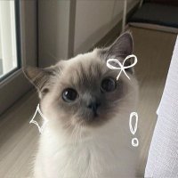 Lucy, CPA✨ (@lucy_cpa2025) 's Twitter Profile Photo Lucy, CPA✨ (@lucy_cpa2025) 's Twitter Profile Photo