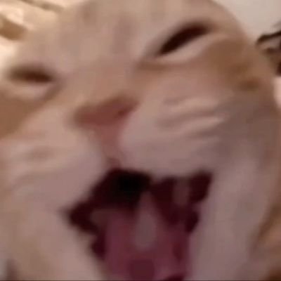 madewithmore_'s profile picture. 