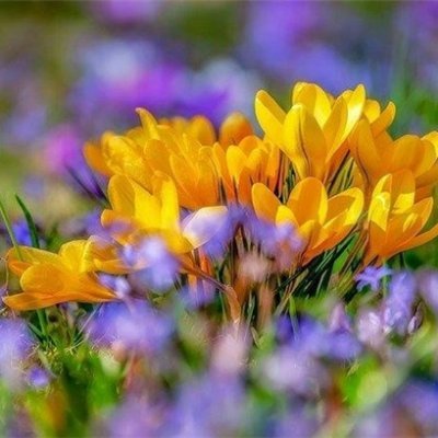 副業で収入を増やすコツを共有中。副業を始めてみたい人に役立つ情報をお届け。小規模ですがお金配り企画も始めました★ 支援中▷ https://t.co/HuAnqR2wXj