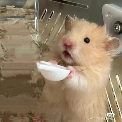 po_o0p3's profile picture. 