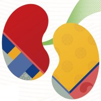 KSN 2025 (@ksnmeeting) 's Twitter Profile