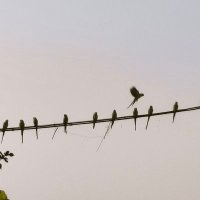 nirankar singh (@nirankar76) 's Twitter Profile