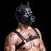 Pup Esso (@avanipup02) Twitter profile photo Pup Esso (@avanipup02) Twitter profile photo