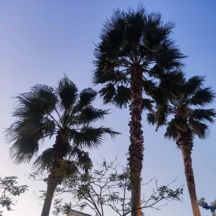 ro_ogi's profile picture. 084..0833..