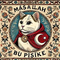 Saladin The Turk 🇹🇷🇦🇿🇺🇦🇬🇪🇮🇱🇧🇦 (@vanlimiroglu) 's Twitter Profile