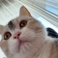 Üzüm (@zm0757197567391) 's Twitter Profile Photo Üzüm (@zm0757197567391) 's Twitter Profile Photo