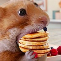 nom nom tastes (@nomnomtastes) 's Twitter Profile Photo nom nom tastes (@nomnomtastes) 's Twitter Profile Photo