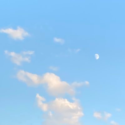 Mt2nbrbJ's profile picture. 松下洸平さん/ガーデニング/わんこ/ スポーツ観戦/ドラマ／映画/懸賞初心者