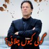 16a4ece62b8c4c1's profile picture. ‏عمران خان زندہ باد 
پاکستان پائندہ باد