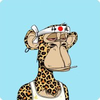 جرح...🌹الورد...🌹 (@jrhalwrd6346) 's Twitter Profile