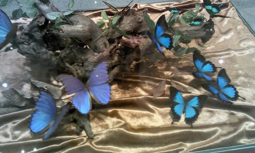 kih1192's profile picture. 현대전주6공장