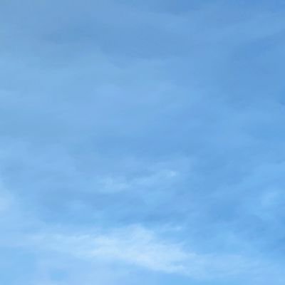 xboy3612's profile picture. 