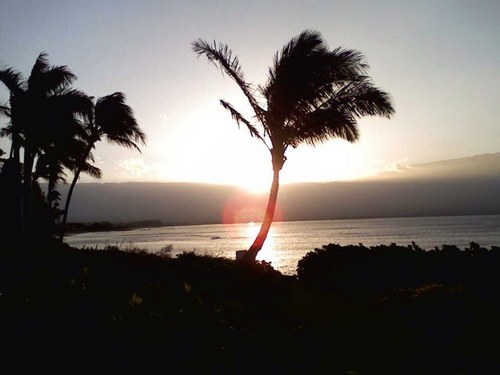 jclarkie74's profile picture. 